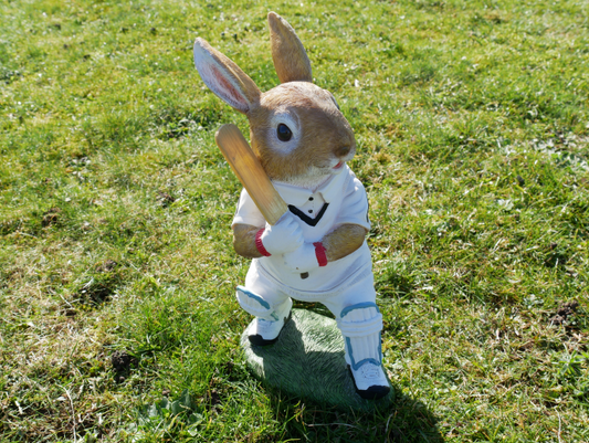 Rabbit Cricket Batter - HOMEDECORATION